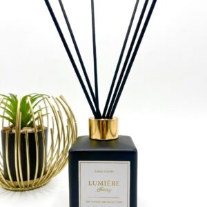 Lumière Ivoire
